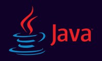 Java - Tech Credible IT Solutions | Leading Web & App Development Company