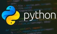 Python - Tech Credible IT Solutions | Leading Web & App Development Company